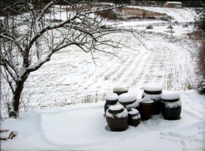 ����ũ��� ����